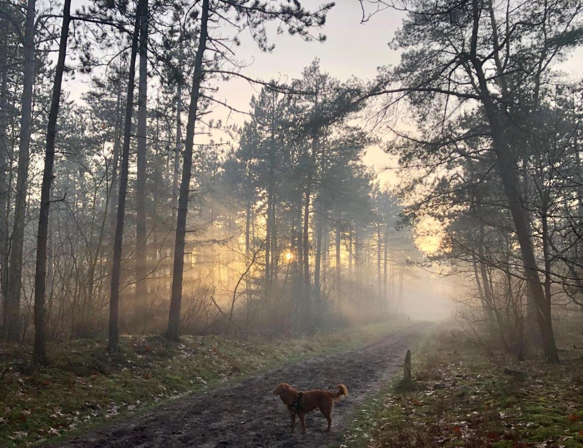 Het Natuurhuisje Op De Veluwe Nunspeet Kültér fotó