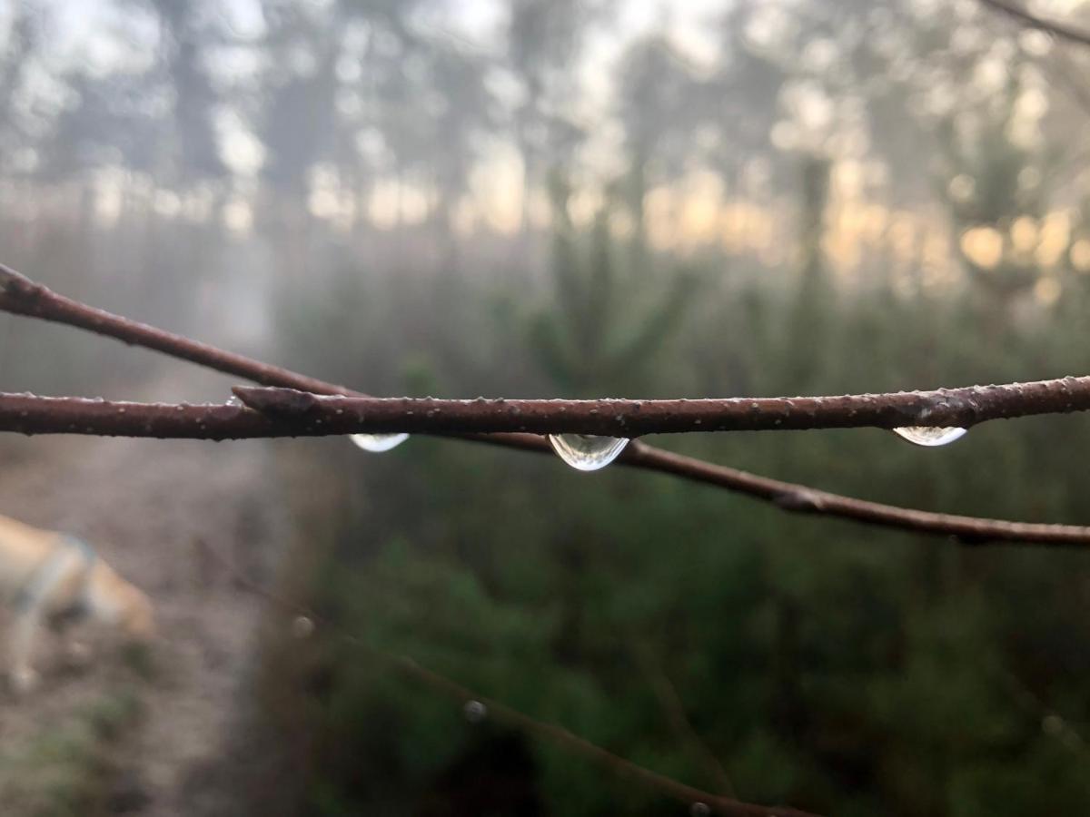 Het Natuurhuisje Op De Veluwe Nunspeet Kültér fotó