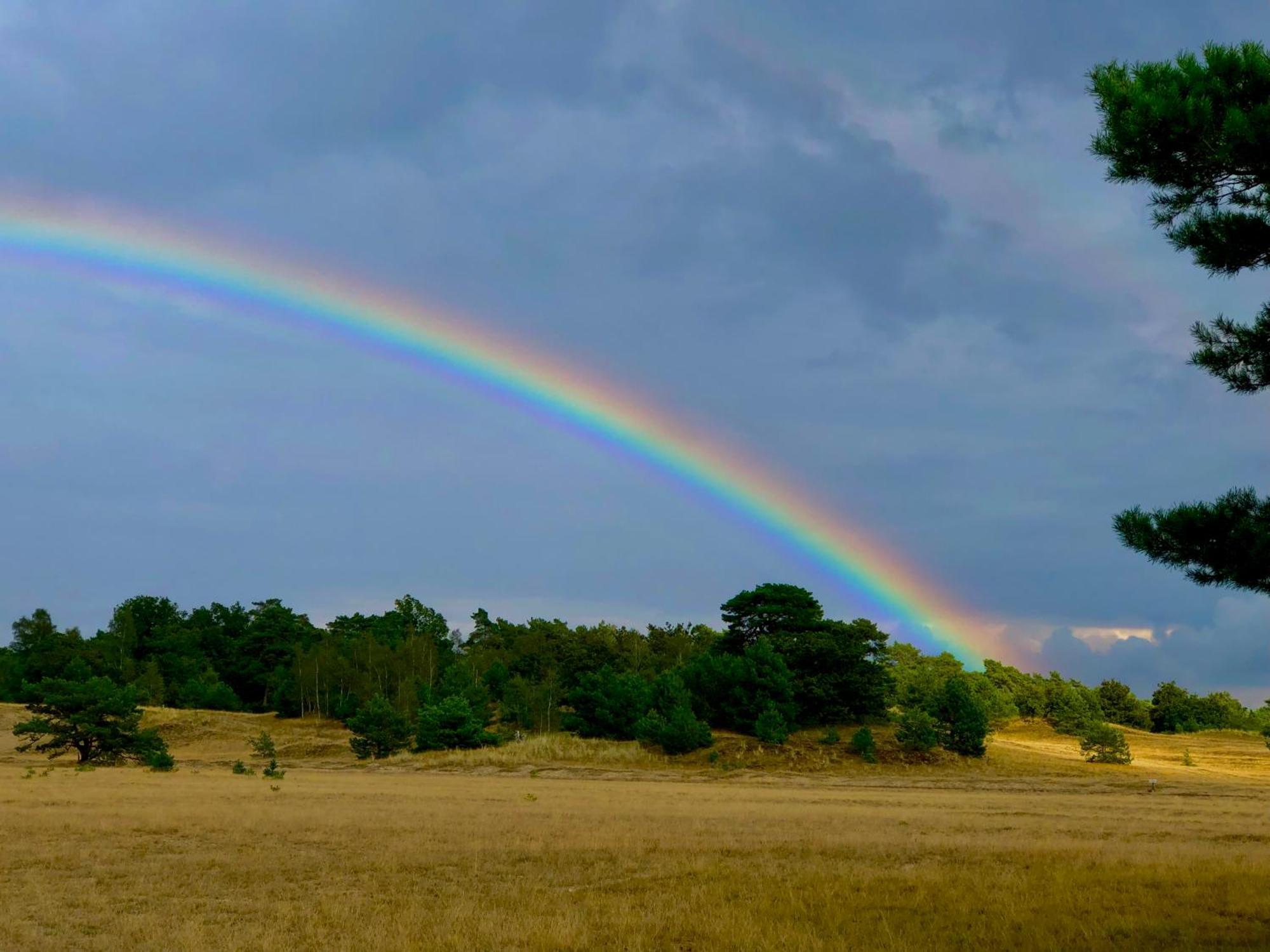Het Natuurhuisje Op De Veluwe Nunspeet Kültér fotó