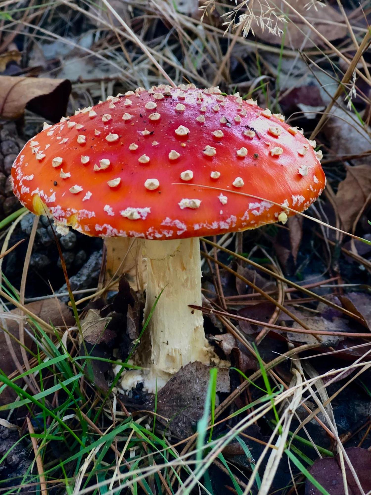 Het Natuurhuisje Op De Veluwe Nunspeet Kültér fotó