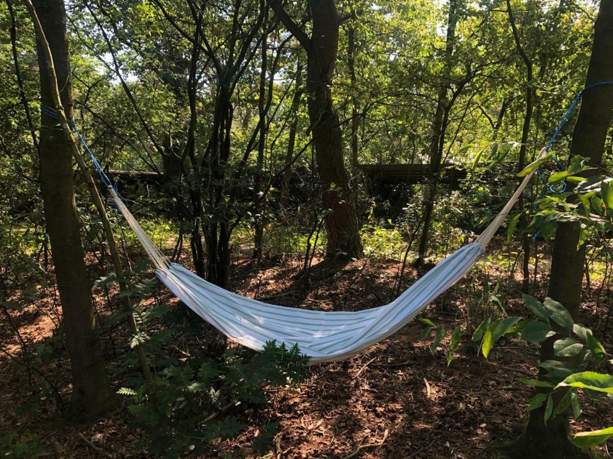 Het Natuurhuisje Op De Veluwe Nunspeet Kültér fotó